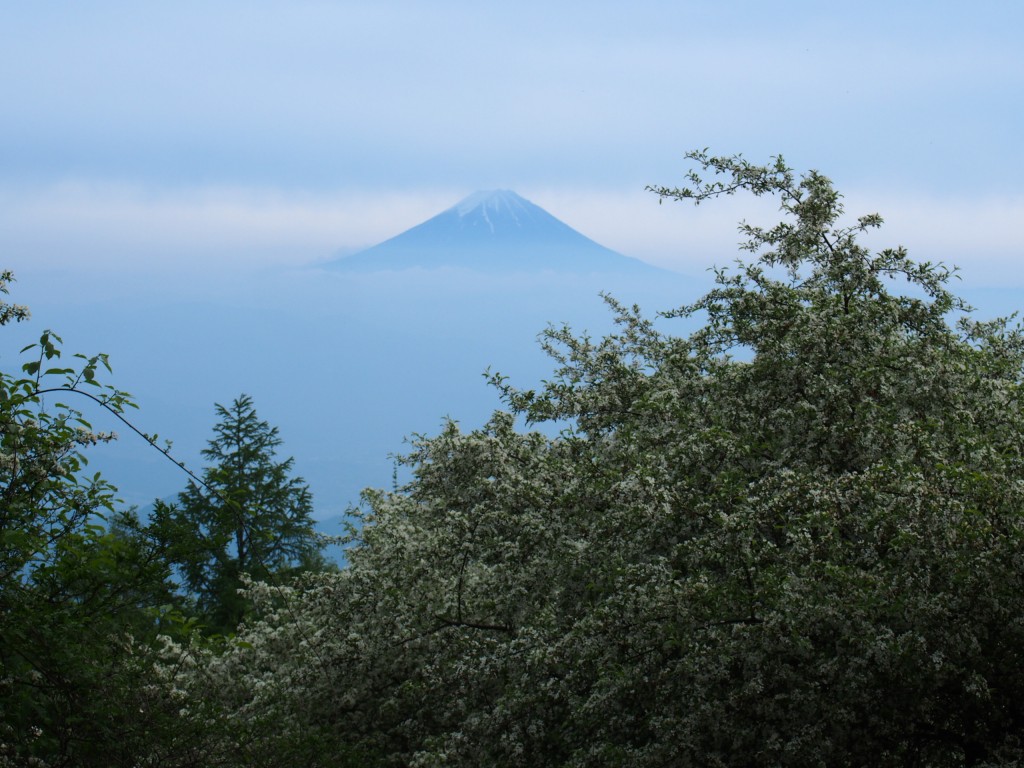 富士山の上と下がかすんでて、山頂だけのぞいている。幻想的できれい。